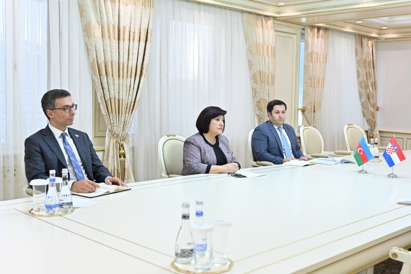 Milli Məclisin sədri beş ölkənin səfiri ilə görüşüb