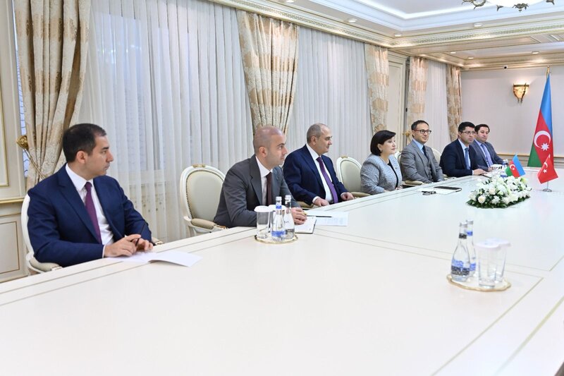 Sahibə Qafarova Türkiyə Respublikasının Ədalət və İnkişaf Partiyasının sədr müavininin başçılıq etdiyi nümayəndə heyəti ilə görüşüb