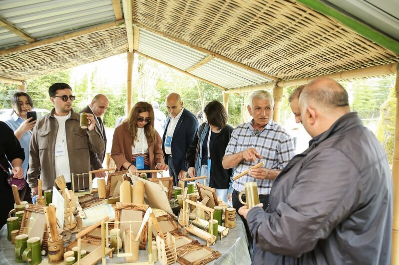 Lənkəranın turizm imkanları geniş auditoriyaya nümayiş etdirilib