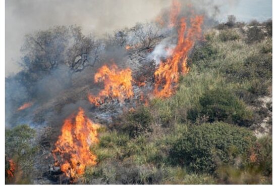 "Piknik edirlər, odu yanılı qoyub gedirlər, ot sahəsini biçirlər, orda da qoyub gedirlər" -Xalıqverdi Hüseynov