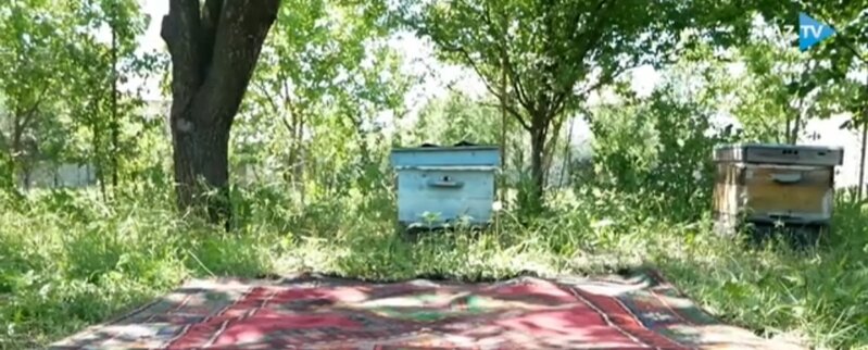 Məsafədən asılı olmayaraq, Azərbaycan sənəti burada YAŞADILIR - VİDEO