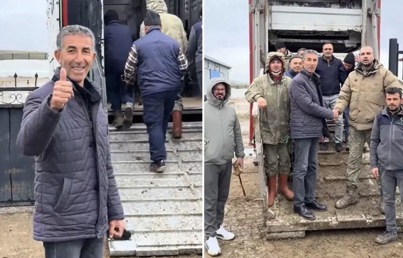 Qoyunçuluq sahəsində diqqətçəkən addım