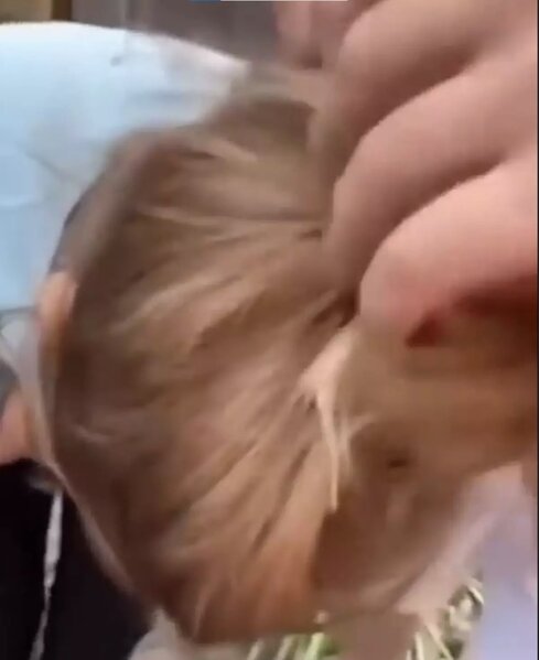 Kiçik uşağın saçından sincab çıxdı - VİDEO