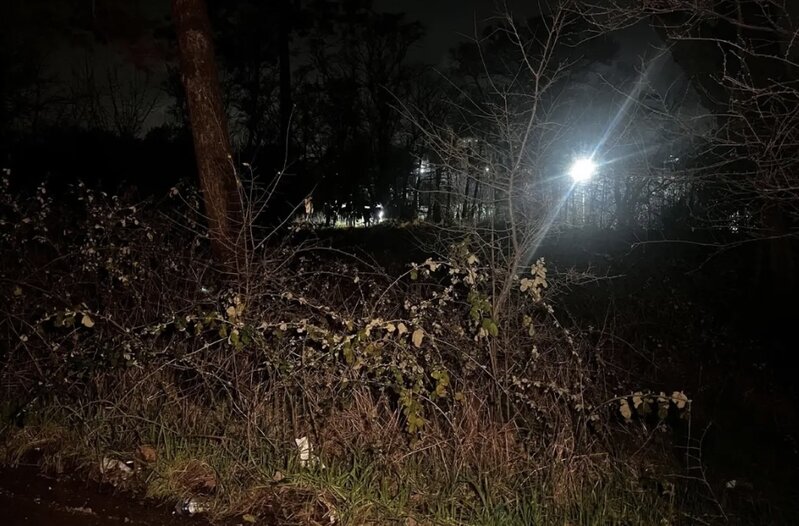 Meşədə kişi meyiti tapılıb