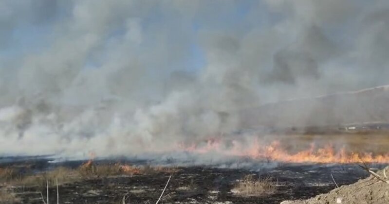 "Bizim qarşımızda dövlət qiyafəsi geyinmiş mütəşəkkil terrorla məşğul olan bir struktur dayanıb" - AÇIQLAMA