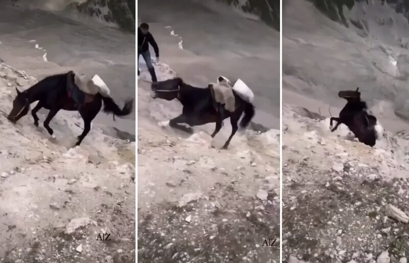 Ağır yüklə uçurumun kənarına sürüklənən atı xilas etmək mümkün olmadı
