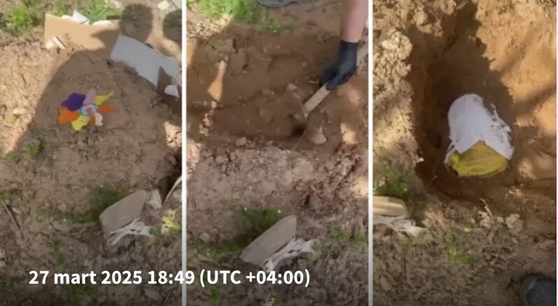 Anasının məzarından pişik cəsədi tapdı - ŞOK GÖRÜNTÜLƏR