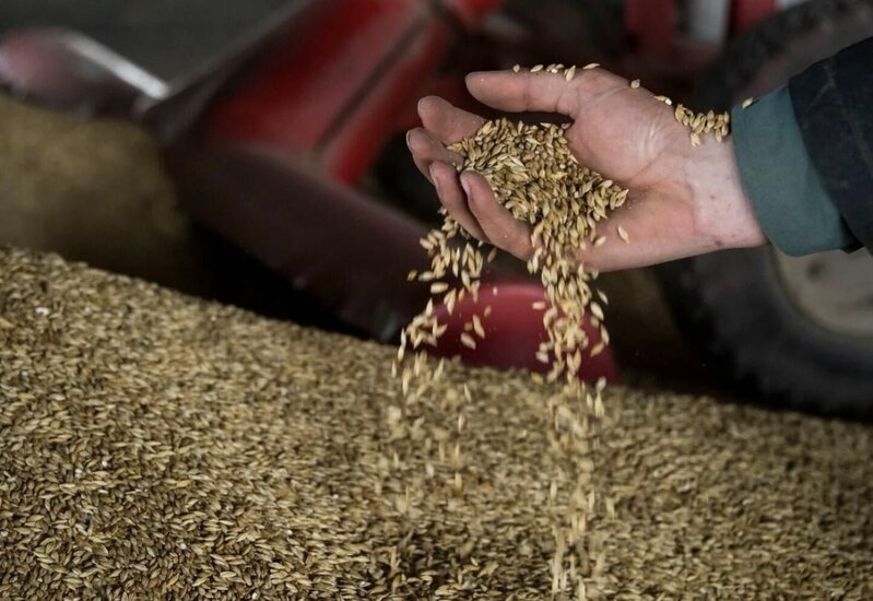 Taxıl sazişi üzrə görüşün mümkün yeri məlum olub