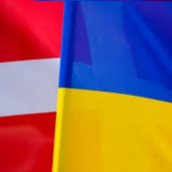 Дания одобрила участие своих добровольцев в войне за Украину