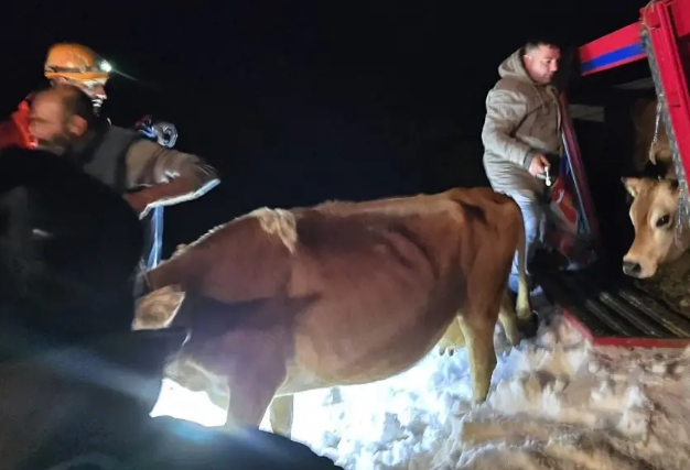 İçərisində 15 nəfər insan və heyvanlar olan yük avtmobili qar uçqununa məruz qaldı