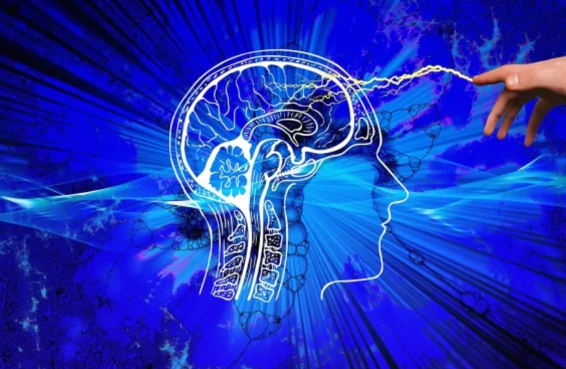 İnsan beyni həqiqətən də işıq saçır