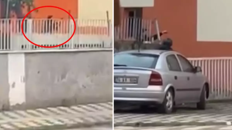 Keçmiş sevgilisi ilə danışmaq üçün gəldiyi məktəbin önündə intihar edib - VİDEO