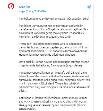 İran hökuməti niyə ev heyvanları saxlamağı qadağan edib? - FOTO