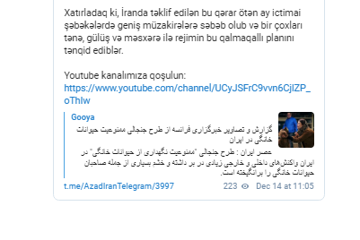 İran hökuməti niyə ev heyvanları saxlamağı qadağan edib? - FOTO