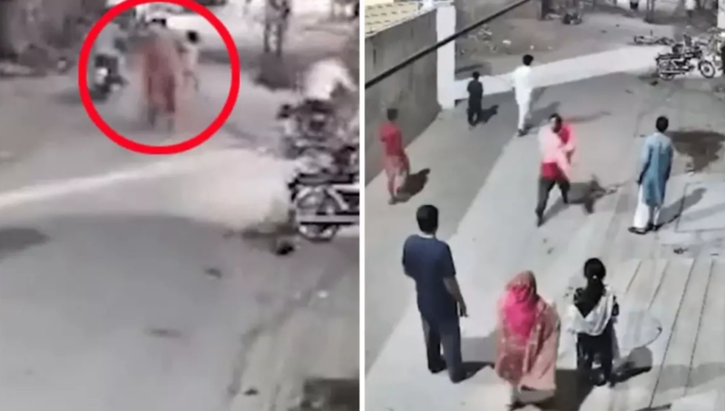 Evdə saxlanılan aslan qadın və uşaqlara hücum etdi - VİDEO