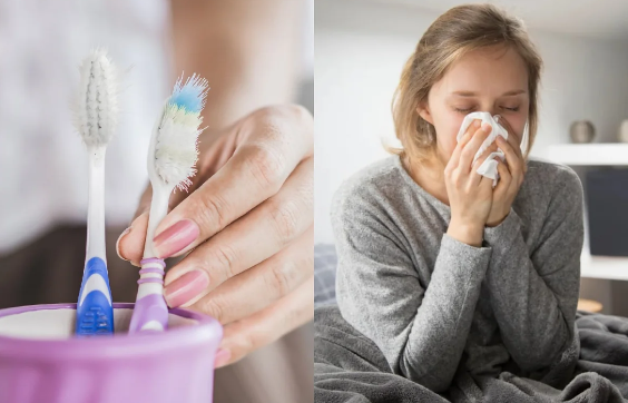 İspaniyalı həkim: "Tez-tez xəstələnirsinizsə, səbəb diş fırçanız ola bilər"