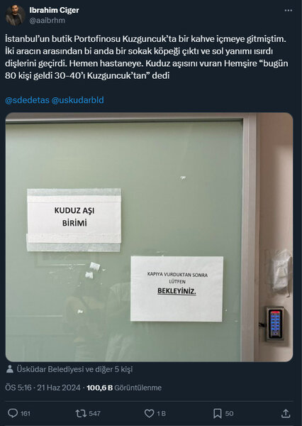 Sahibsiz itlərin hücumuna məruz qalan adam ŞOK YAŞADI: Eyni məhəllədən 30-40 nəfər... - FOTOLAR