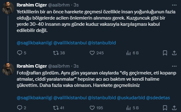 Sahibsiz itlərin hücumuna məruz qalan adam ŞOK YAŞADI: Eyni məhəllədən 30-40 nəfər... - FOTOLAR