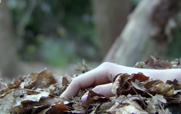 İstirahətə apardığı arvadını meşədə boğaraq öldürübmüş... - Video