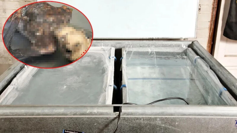 Soyuducunun arxasına düşən meyit 10 il sonra TAPILDI - FOTO+VİDEO