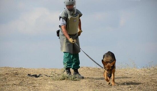 Azərbaycan bu cəhətdən əksər ölkələrdən daha yaxşıdır