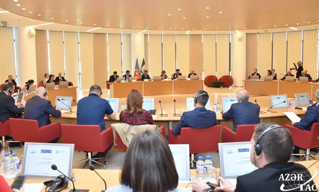 MEDİA dəyirmi masa keçirdi, Teresa Ribeiro da qatıldı - Fotolar