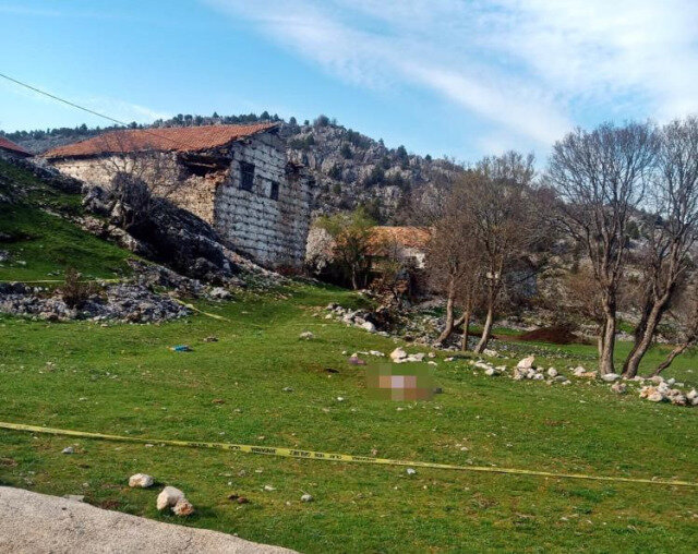 82 yaşlı qadın qəbir ziyarət edərkən çoban itləri tərəfindən PARÇALANDI - FOTO