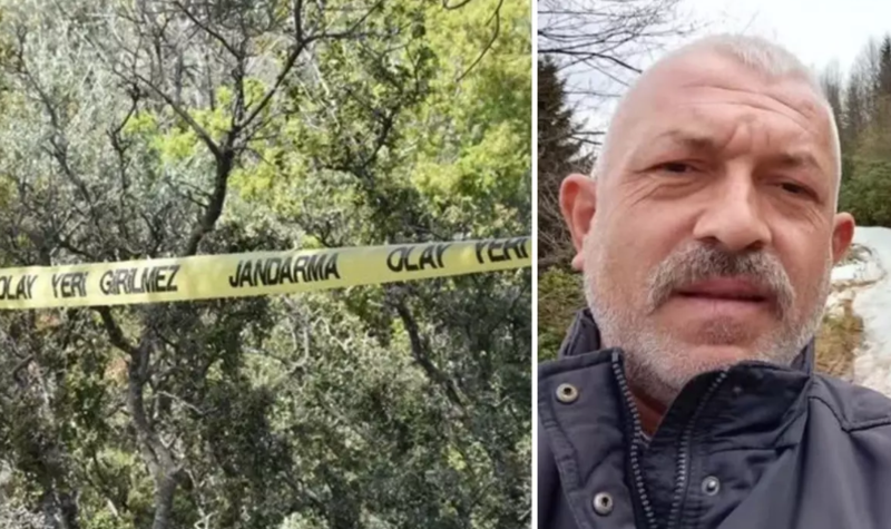 Kəsdiyi ağac həyatının sonunu gətirdi!