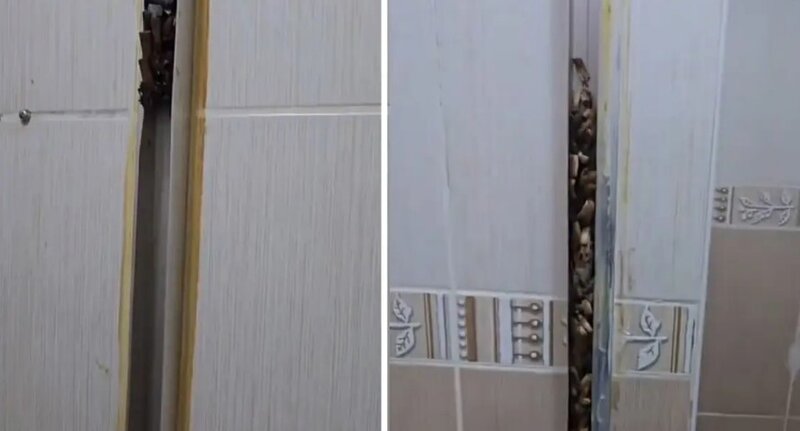 Tələbələrə kirayəyə verdiyi evə girən qadın gözlənilməz mənzərə ilə qarşılaşdı - VİDEO