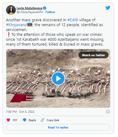 Leyla Abdullayevadan Edillidə kütləvi məzarlıq aşkarlanması ilə bağlı PAYLAŞIM - FOTO