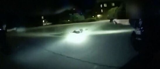 Polisin 60 güllə ilə öldürdüyü gəncin görüntüləri ortaya çıxdı-VİDEO