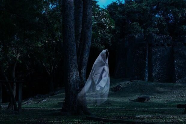 İnsanlar niyə kabuslara inanırlar? - ARAŞDIRMA