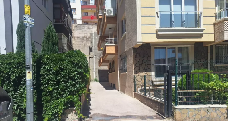 Polis küçə itini güllələyərək öldürüb