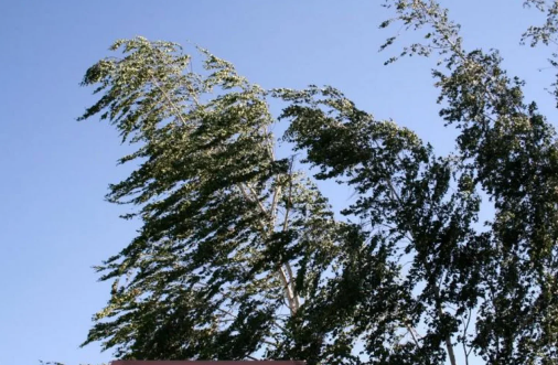 Güclü küləklə bağlı əhaliyə XƏBƏRDARLIQ