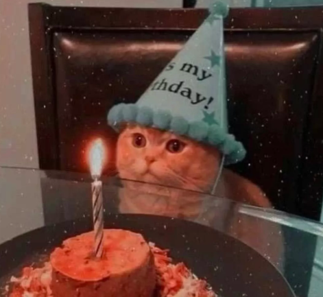 Ad günü qeyd edən pişiklər - FOTOLAR