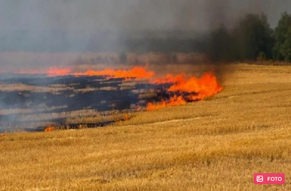Lerikdə biçilmiş taxıl sahəsi yanır