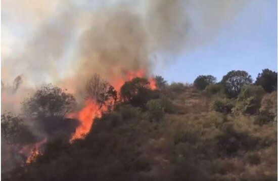 Ermənilər Laçında meşəyə od vurub - VİDEO