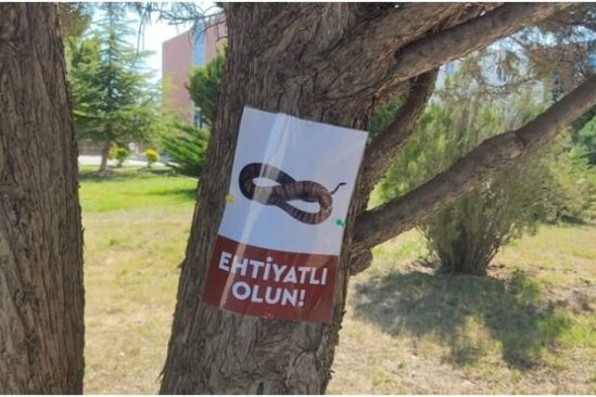 Universitetdə müzakirələrə səbəb olan ilan elanı ilə bağlı AÇIQLAMA - FOTO