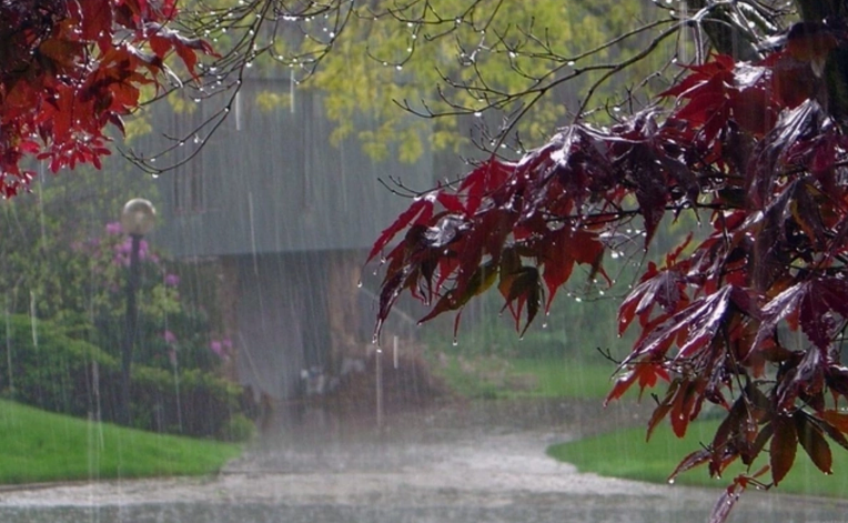 Bəzi yerlərə leysan yağıb, ən yüksək temperatur 36 dərəcə olub - FAKTİKİ HAVA