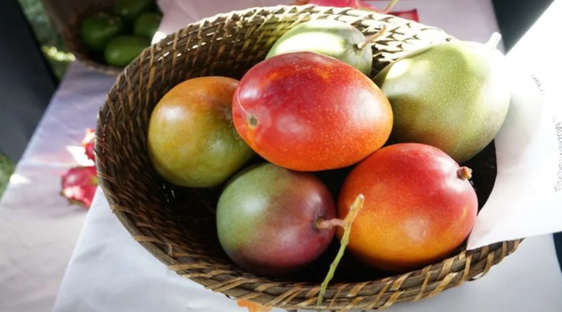 Hər kəs bu meyvə ağacını əkir - ədədi 56 manat