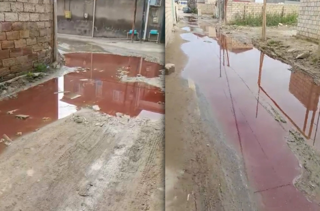 Masazırda "qan problemi" - Sakinlər heyvankəsimi ilə məşğul olan şəxslərdən şikayətçidirlər