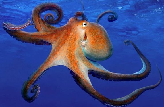 Britaniyalı alim: "Səkkizayaqlılar dünyanı ələ keçirə, şəhərlər inşa edə bilərlər"