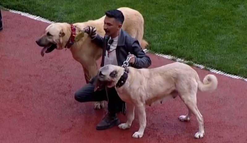 Bunu da gördük: Səhnəyə kanqallarla çıxdılar