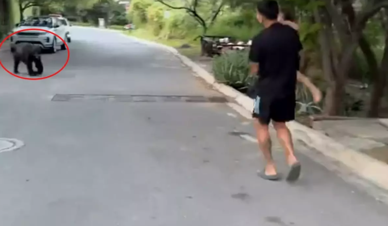 Evinə qayıdan futbolçu gördüyü mənzərə qarşısında şok oldu - VİDEO