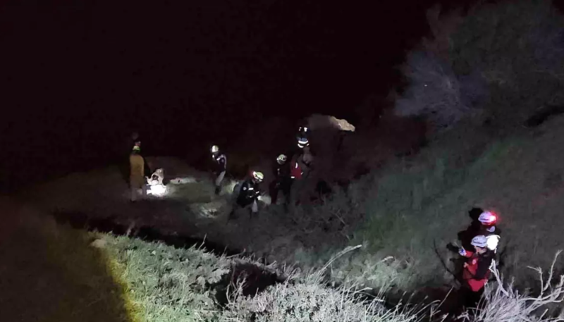 Meşəyə göbələk toplamağa gedən qadın itkin düşüb - VİDEO