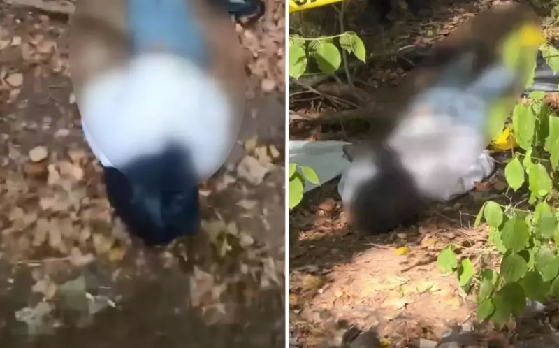 Meşəlik ərazidə başına zibil torbası keçirilmiş kişi meyiti tapıldı - FOTO