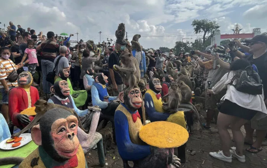 Meymunlara açıq bufet ziyafəti verilib- FOTO