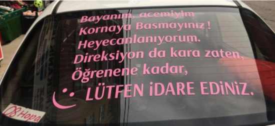 Maşın sürəndə həyəcanlanan xanımı üçün KREATİV ÇIXIŞ YOLU-FOTO