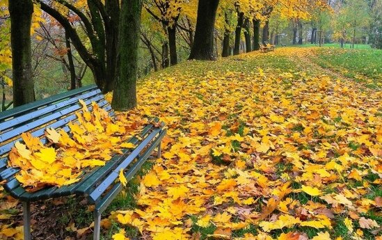 Noyabrda hava necə olacaq?