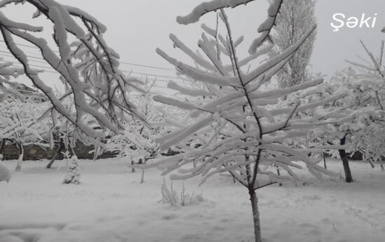 Bölgələrimizin qarlı görüntüləri